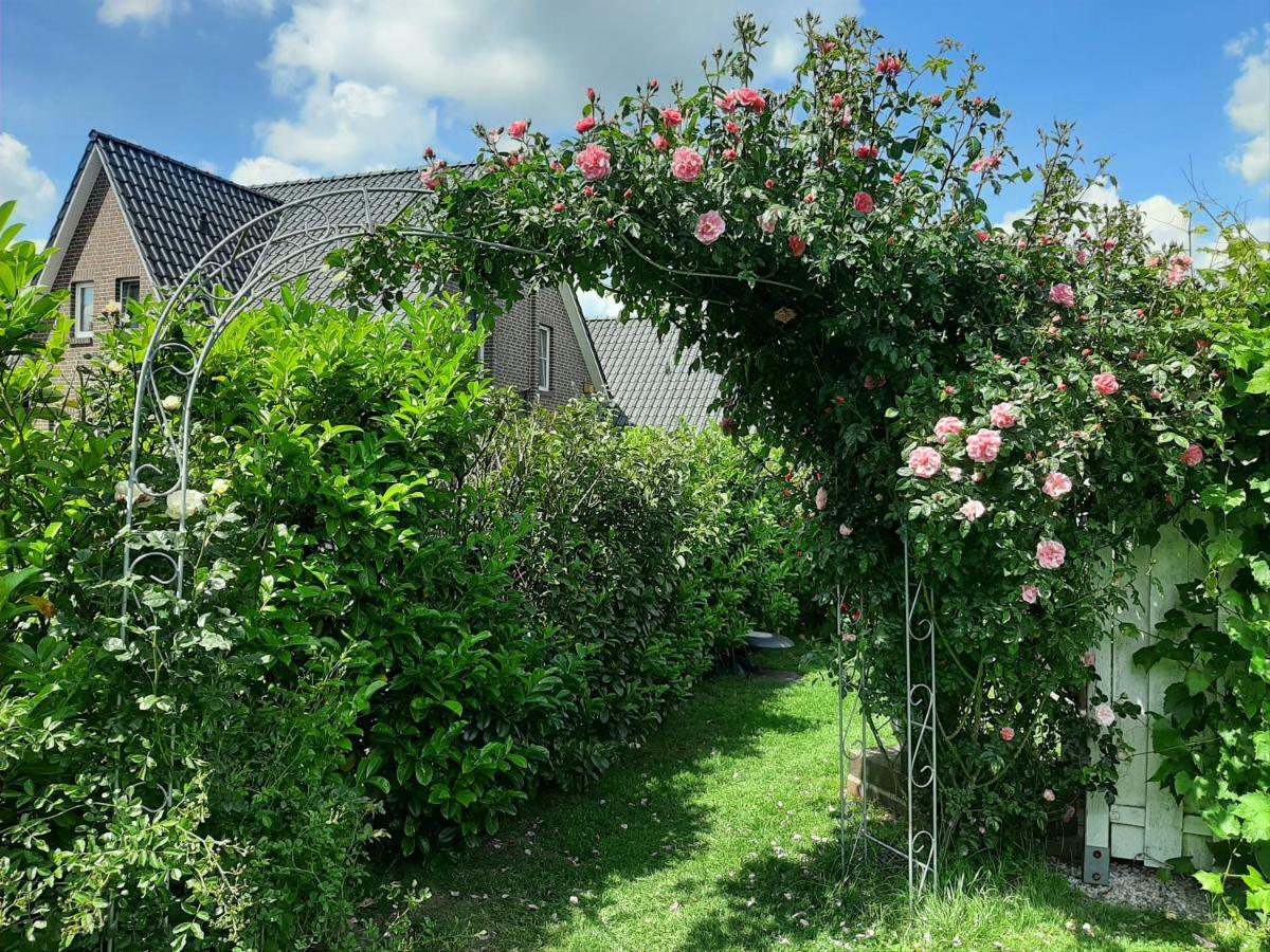 Storchennuest * Aurich